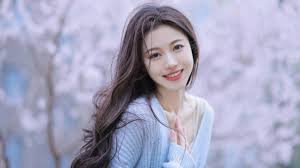 动画番剧